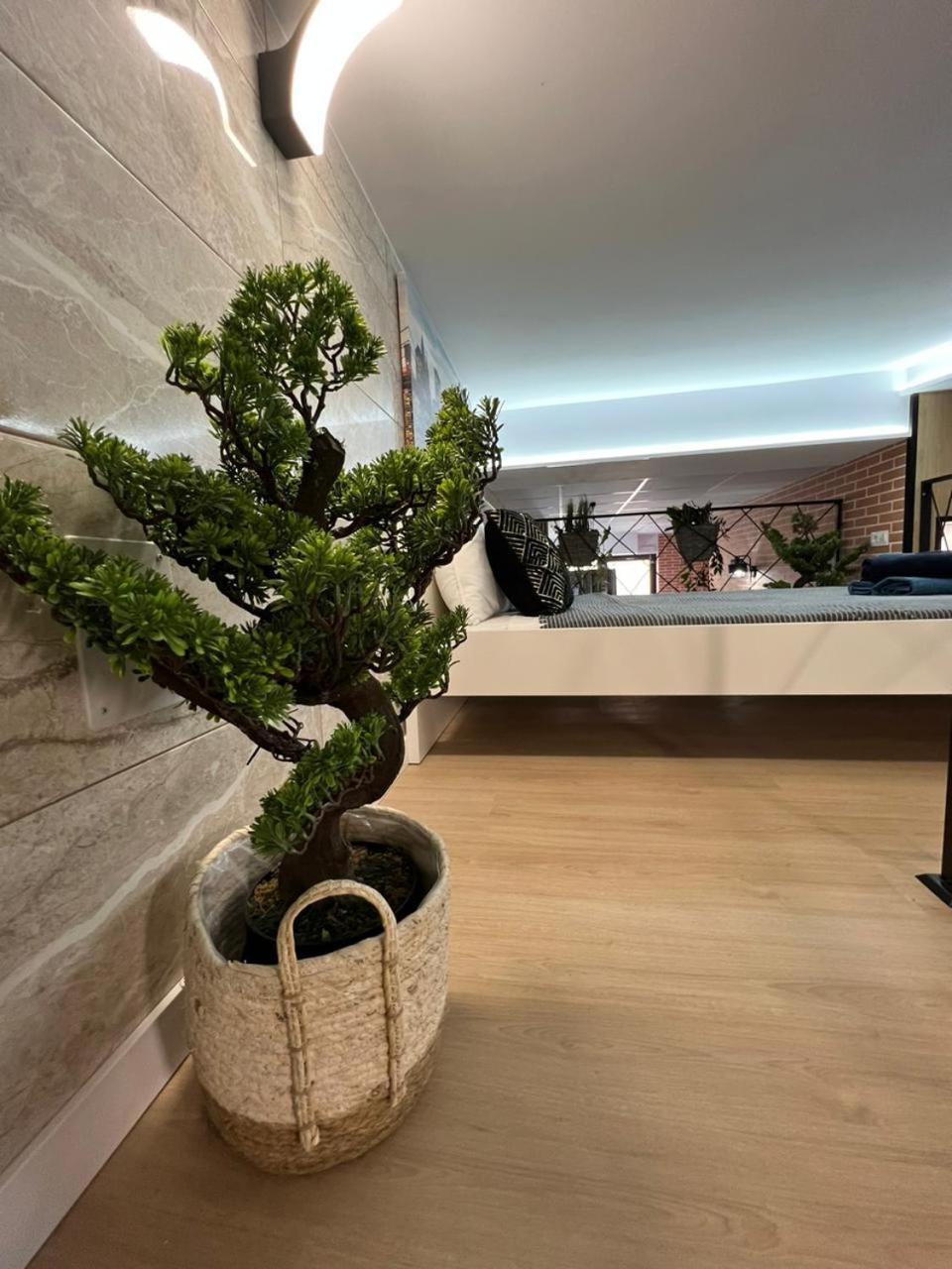 Carcaixent 24 Aparthotel Βαλένθια Εξωτερικό φωτογραφία